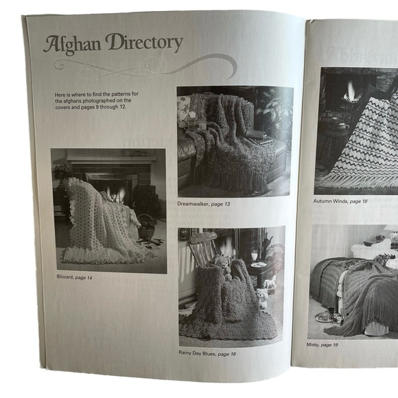 LEISURE ARTS Instruction Book for Six Warm and Cozy Afghans - Picture 2 of 8